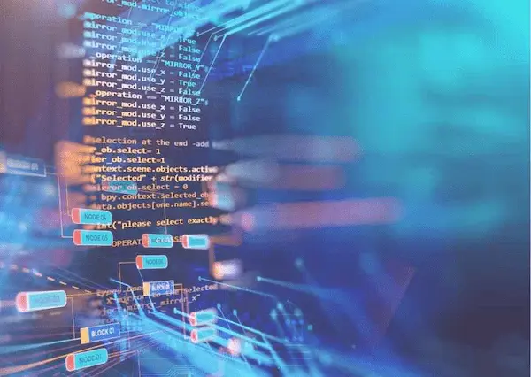 Digital code and system interface representing the Director Identification Number registry and compliance process.